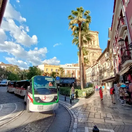 Catedral גרנדה
